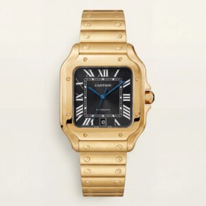 Royal Gold Square Automatic Roman Dial Steel Watch